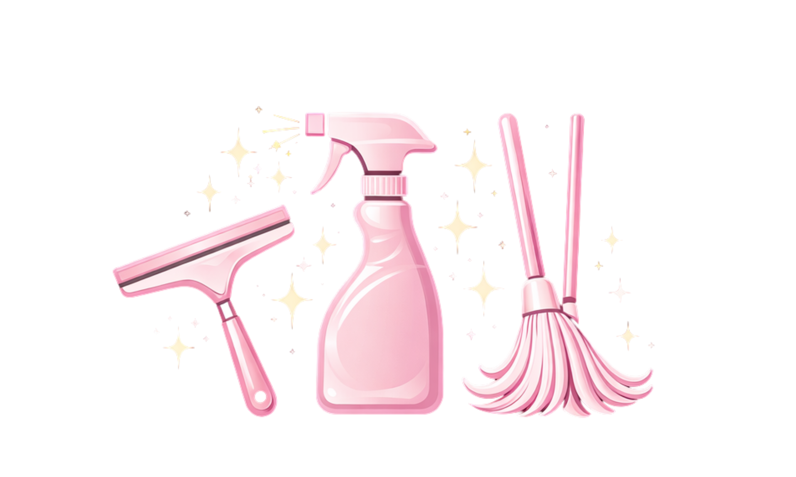 Professional Cleaning Tools